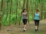 Hotel Eur�pa Fit H�v�z