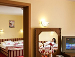 Hotel Piroska, B�kf�rd�