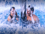 Thermal Hotel Visegr�d